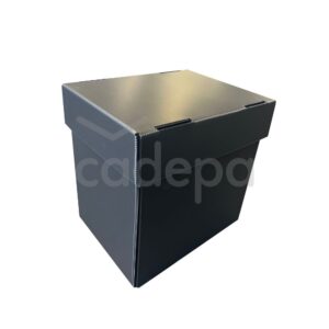 D-BOX CON TAPA - Imagen 2
